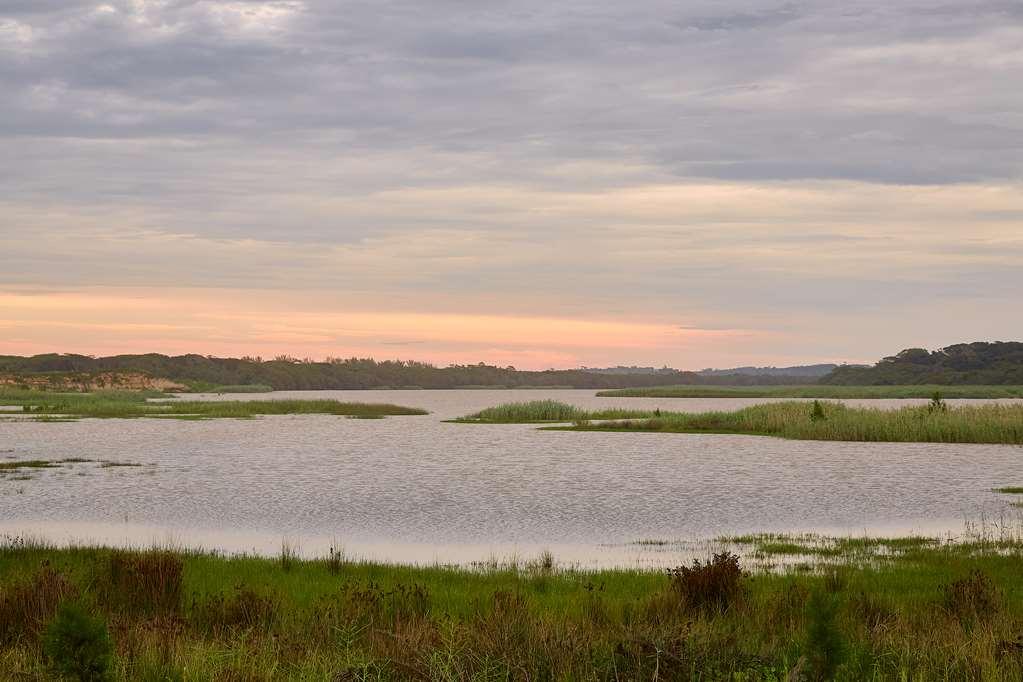 Saint Lucia Estuary First Group Lake View Cabanas מראה חיצוני תמונה